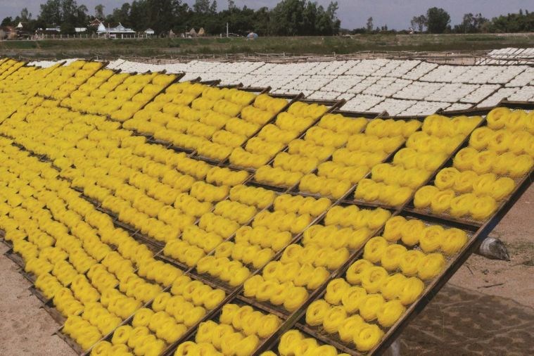 Tour Làng Nghề Bình Định 1 Ngày